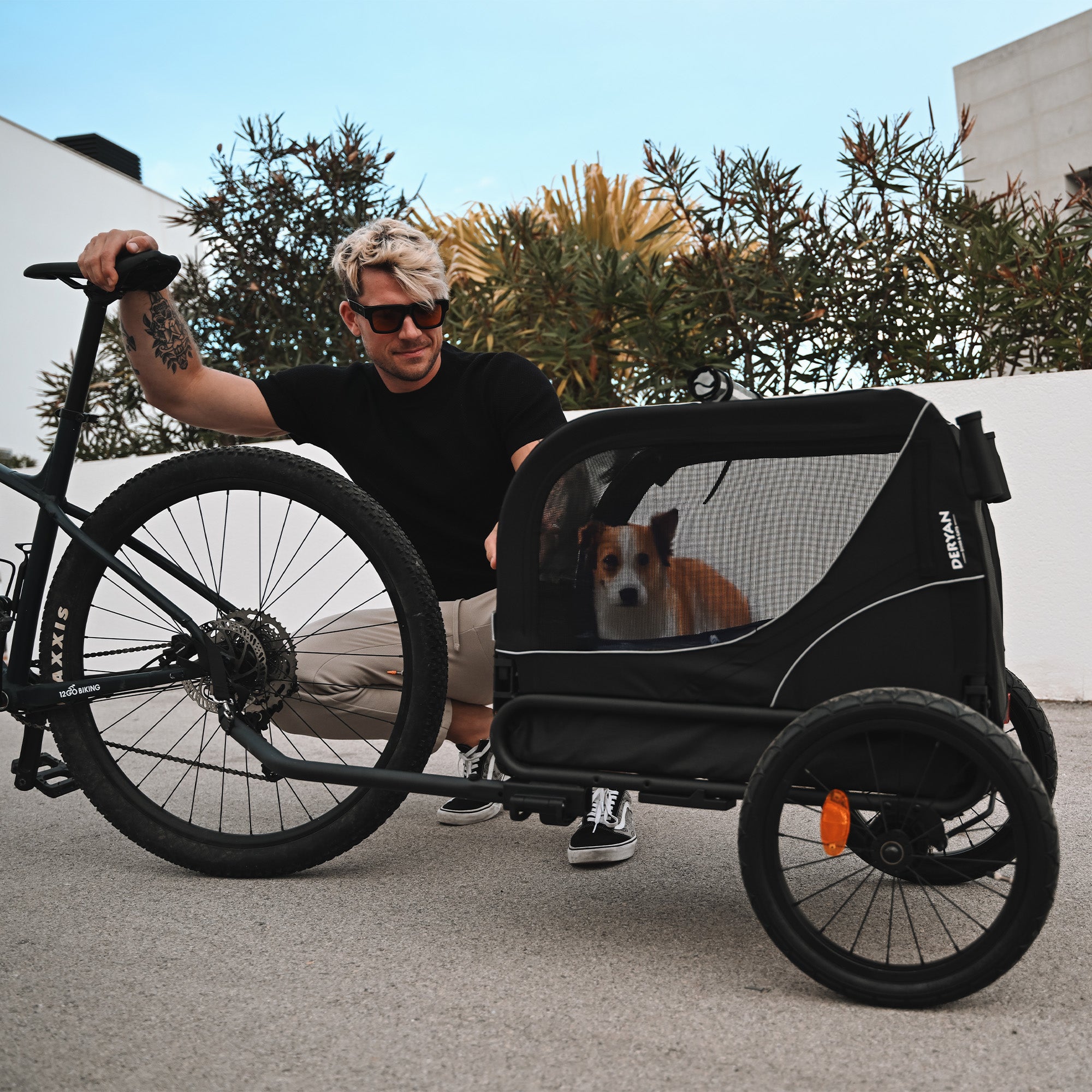 Dog Bike Trailer