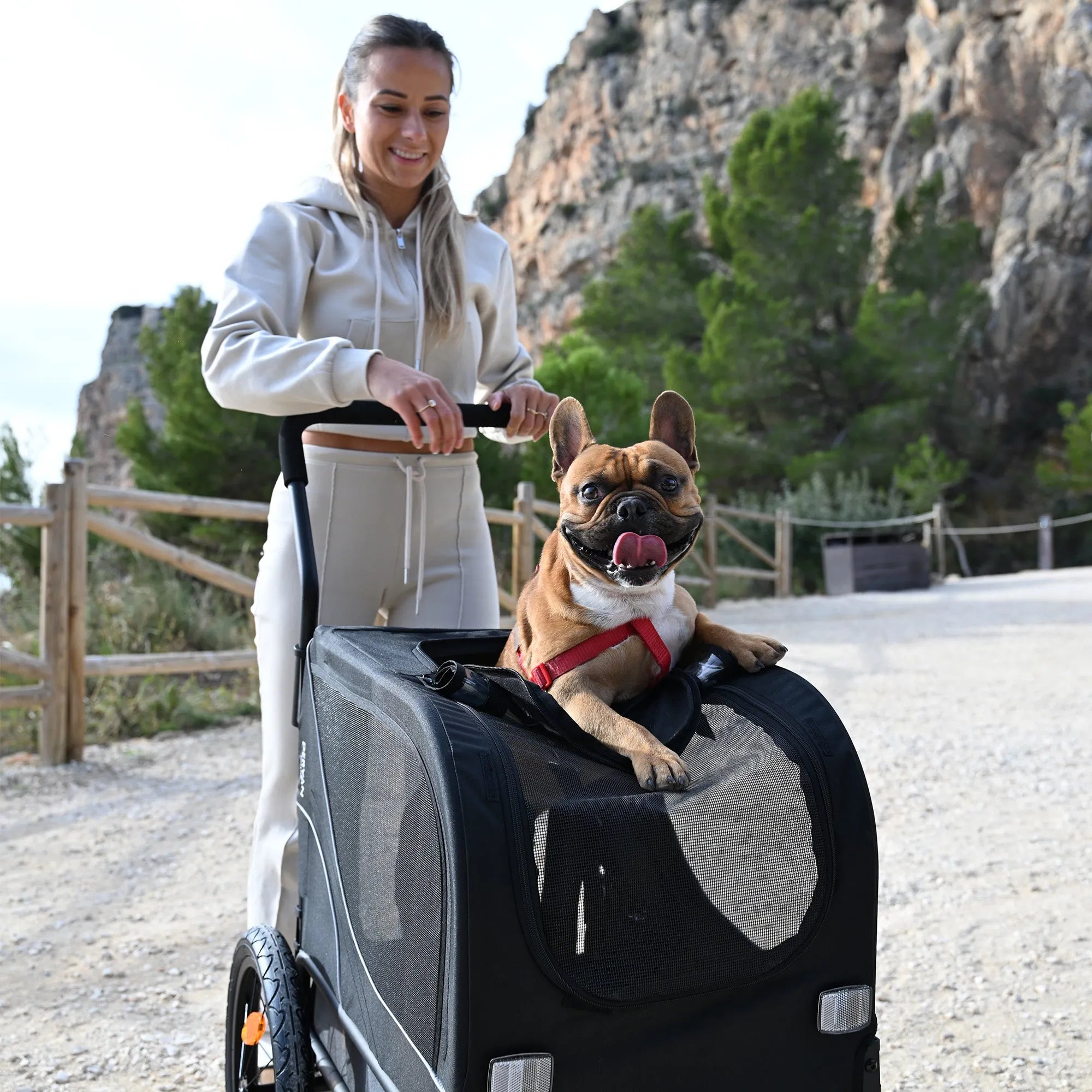 Dog Bike Trailer