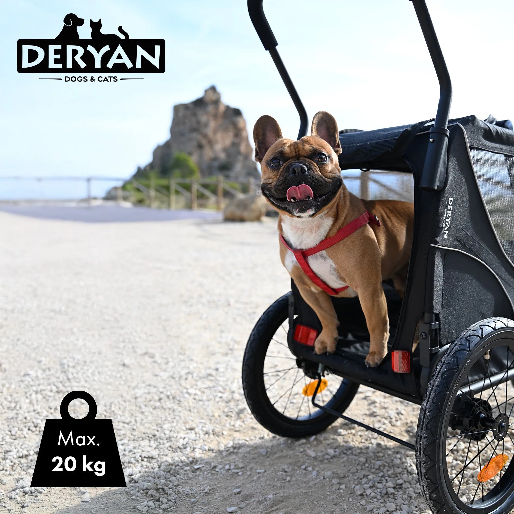 Dog Bike Trailer