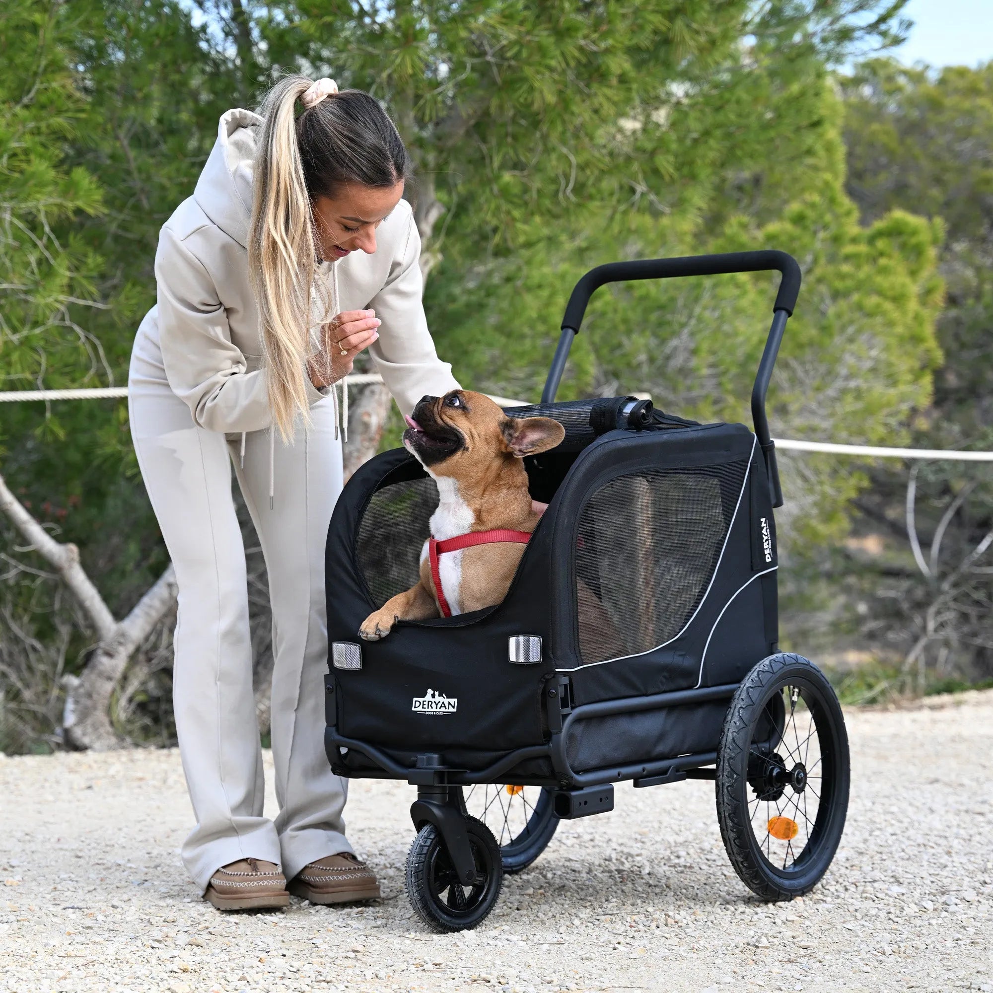 Dog Bike Trailer